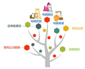 專業(yè)信息咨詢服務 洞悉數據價值，驅動決策優(yōu)化