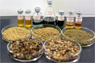 鄭州大學賈陸教授團隊突破創新 金絲楠木提取物研發獲國家專利，植物提取技術再攀高峰