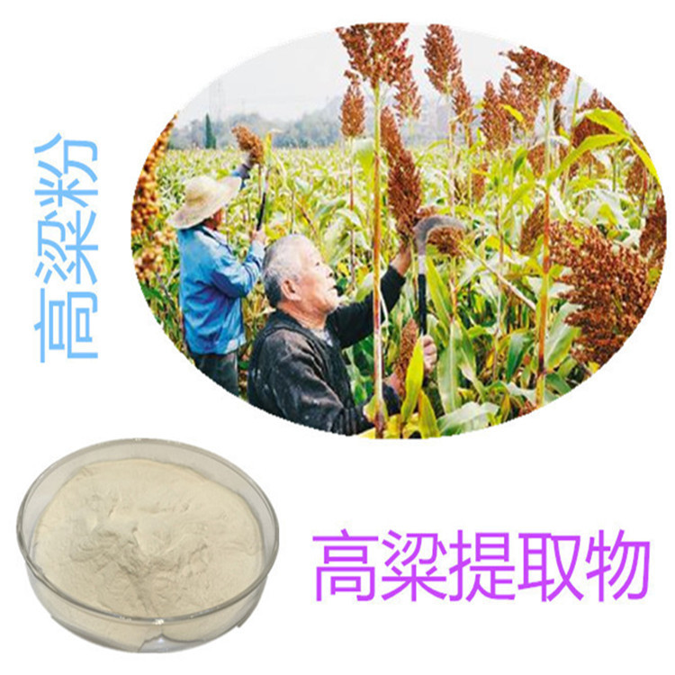 斯諾特生物 深耕植物提取物研發，以高粱提取物為核心打造健康產品矩陣